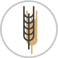 Gluten